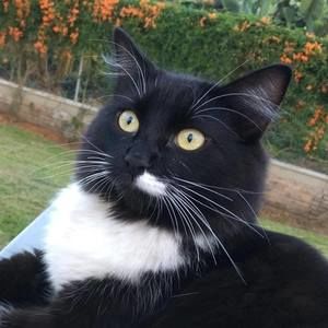 Meet your Posher, Olga patricia